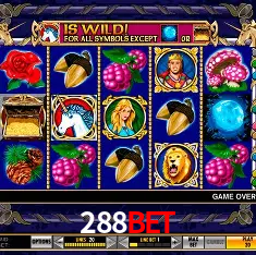 288bet Rio de Janeiro - Bonus Terms